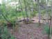 050035May 2009 Wetlands and CHP 121