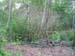 054045May 2009 Wetlands and CHP 107