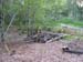 056050May 2009 Wetlands and CHP 105