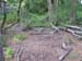 058055May 2009 Wetlands and CHP 102