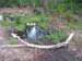 085May 2009 Wetlands and CHP 085