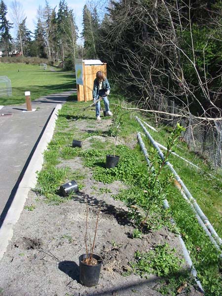 3.SpinneyCleanup